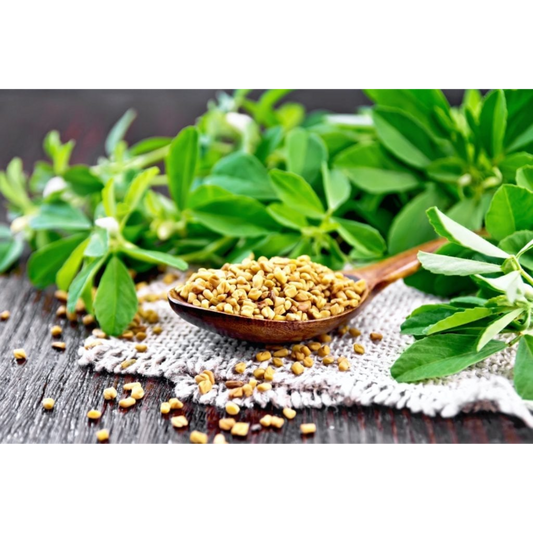 Fenugreek - Its Testosterone-Boosting Wonders