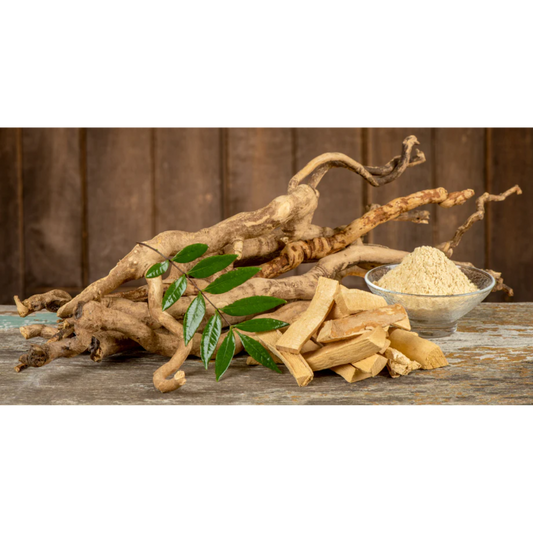 Tongkat Ali - Exploring the Benefits